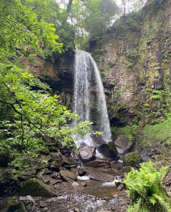 Brynhyfryd Cottage Aberaman المظهر الخارجي الصورة