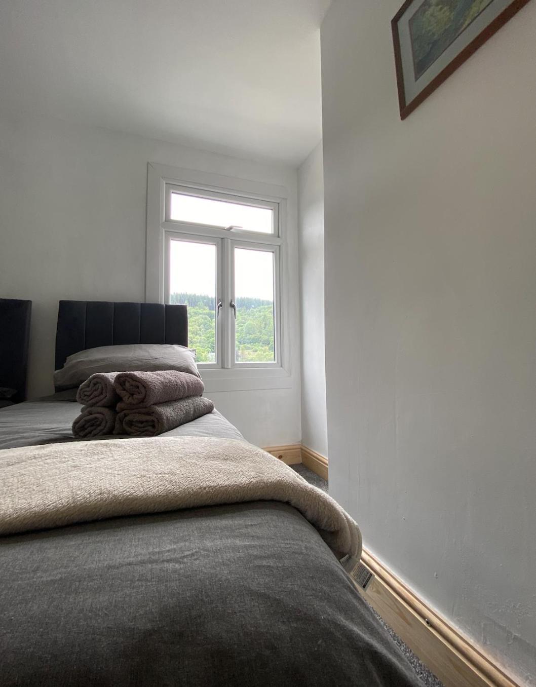 Brynhyfryd Cottage Aberaman المظهر الخارجي الصورة